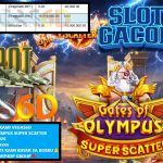 VEGAS6D JACKPOT PRAGMATIC GATES OF OLYMPUS SUPER SCATTER Rp 15.900,000,- LUNAS